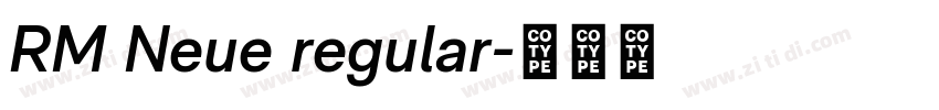 RM Neue regular字体转换